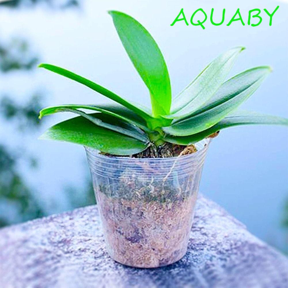 AQUABY Nursery Pots Orchid Clear เครื่องมือทําสวนสําหรับสวนดอกไม้ผักถุงต้นกล้า