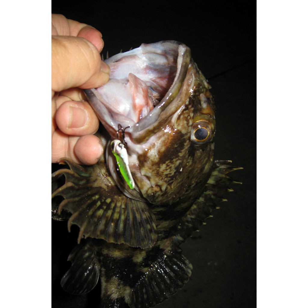 ตัวเบ็ด 3 ทาง DECOY รุ่น Y-S25 เบอร์10, 12 และ14 กล่องบรรจุ 8 ตัว สำหรับงาน เหยื่อปลอม และ light jigging - รูปที่ 7