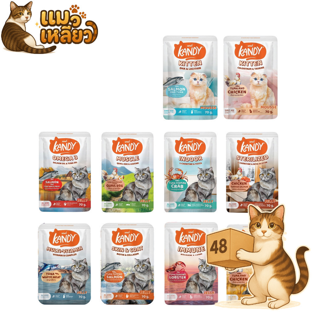 (ยกลัง 48 ซอง) Kandy แคนดี้ อาหารแมว เปียกแมว ไม่ใส่เกลือ จากปลาเนื้อขาว โปรตีนสูง ลูกแมวและแมวโต
