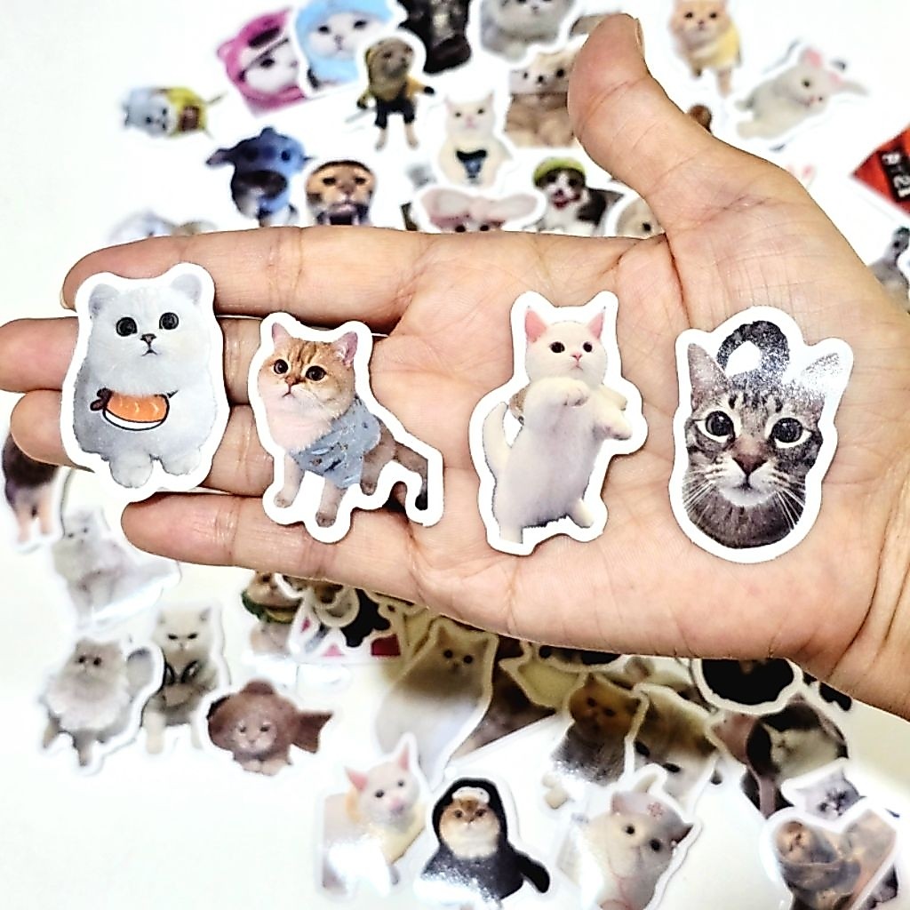 สติ๊กเกอร์ น้องแมว น่ารักๆ ชิ้นเล็กๆ ทาสแมว แมวน่ารัก cute cat (แพ็ค 100 ชิ้น)
