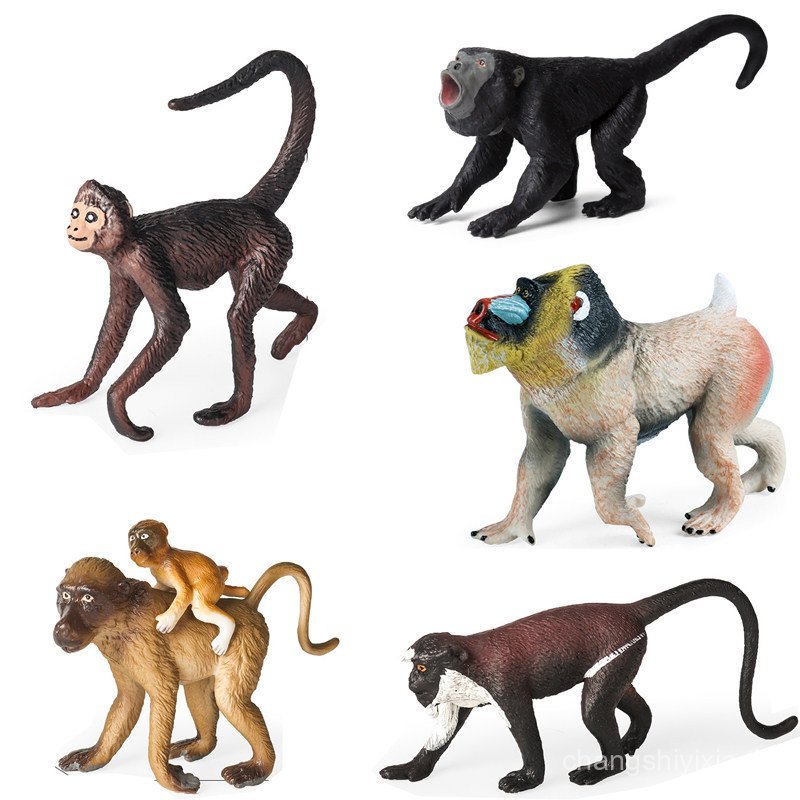 Hard Resin Roar Monkey ของเล่น Spider Monkey Diana ลิงหางยาว Baboon Mountain ลิงหน้าแดงจําลองโมเดลเล