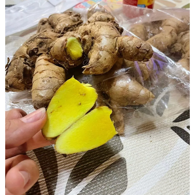 ว่านมหาเมฆเขียว 500g. มหาเมฆสด  หัวสด หัวพันธุ์ว่านเขียว ปลูกทานได้ ดอกกระเจียวแดง หัวว่าน ราคา ถูกที่สุด ดีลบีเคเค แกลเลอรีภาพที่ 3