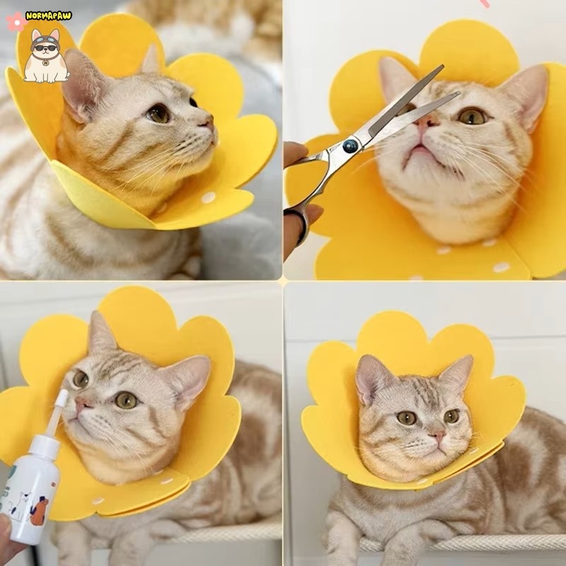 ปลอกคอการกู้คืนรูปดอกไม้-กรวยป้องกันแบบปรับได้สําหรับสุนัขและแมวหลัง