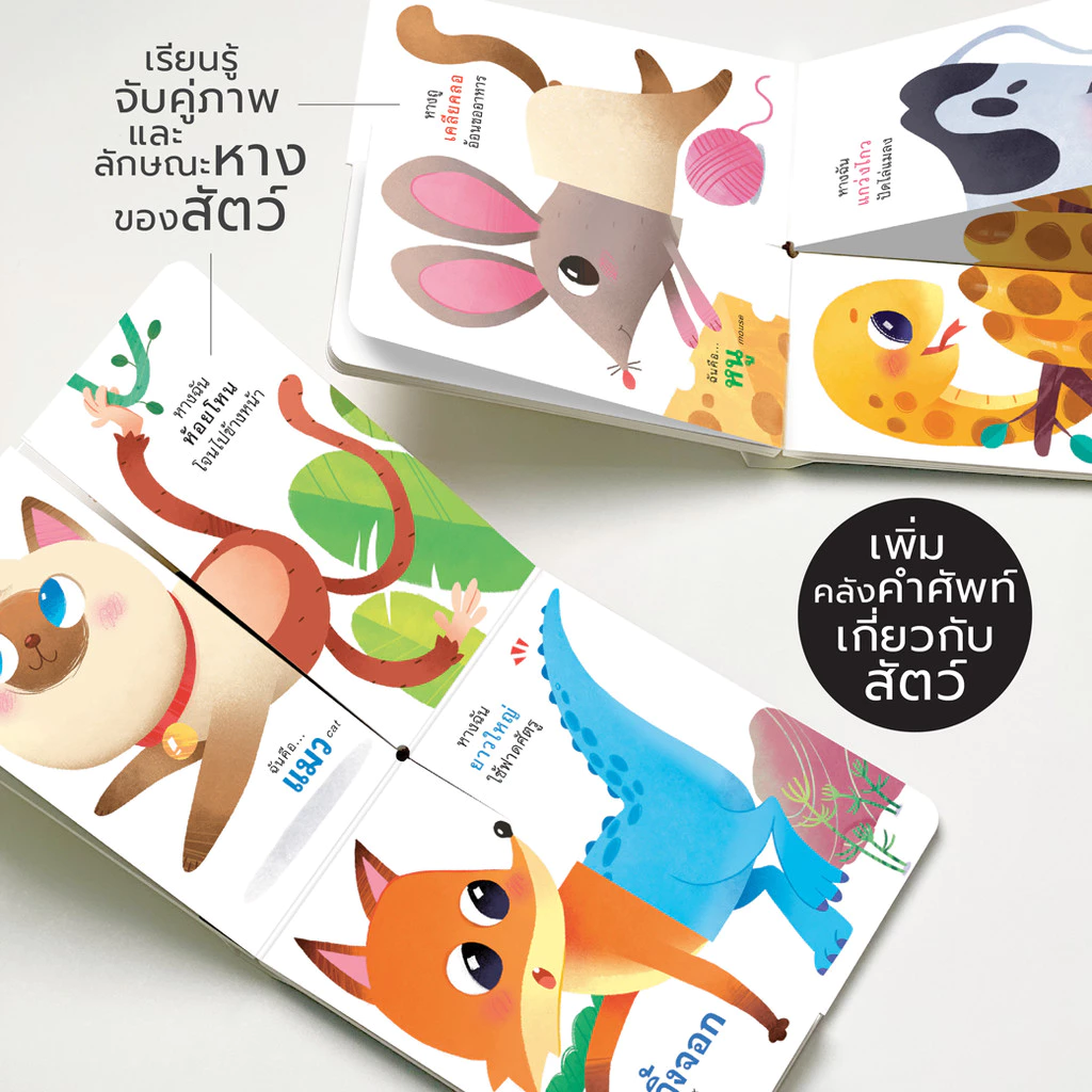 ห้องเรียน หนังสือเด็ก บอร์ดบุ๊ค (แยกเล่ม) Boardbook สำหรับเด็กเล็ก thumbnail 10