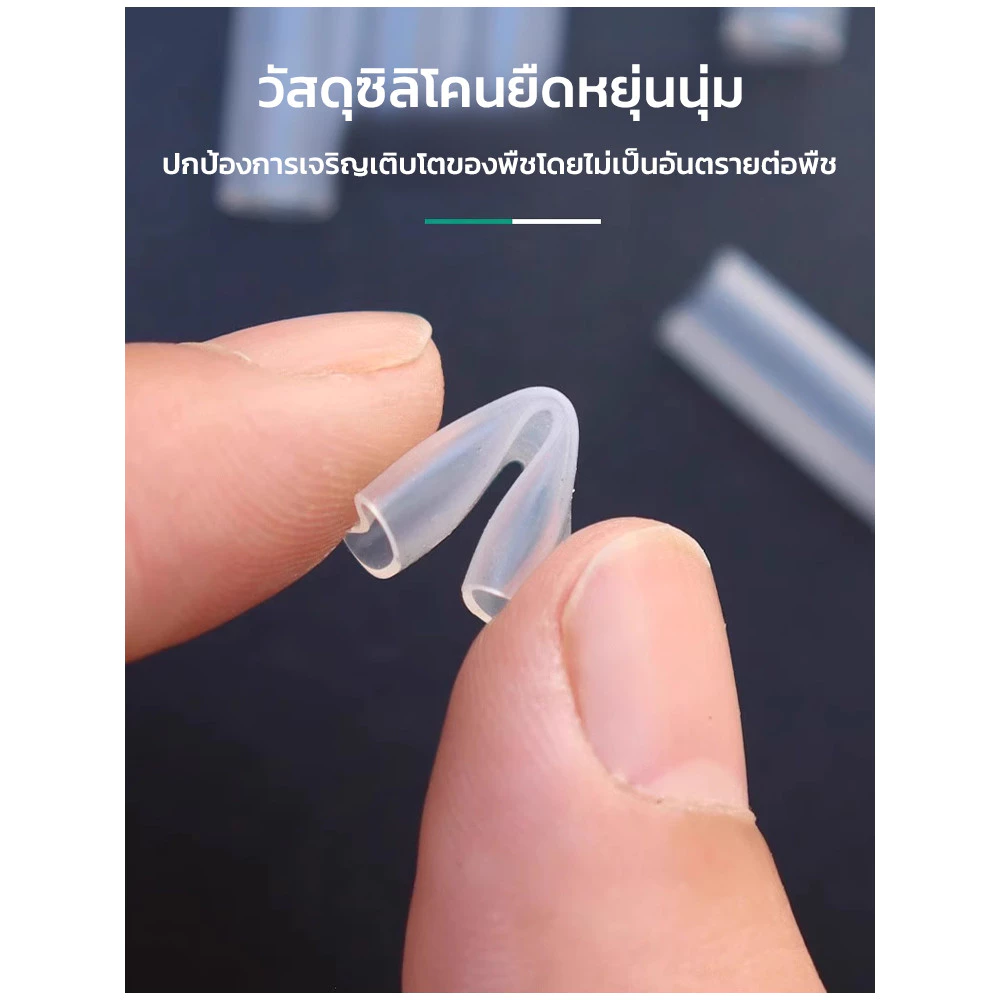 ปลอกซิลิโคนต่อกิ่ง อุปกรณ์ป้องกันจุดต่อกิ่ง สำหรับไม้ผลและไม้ดอก thumbnail 4