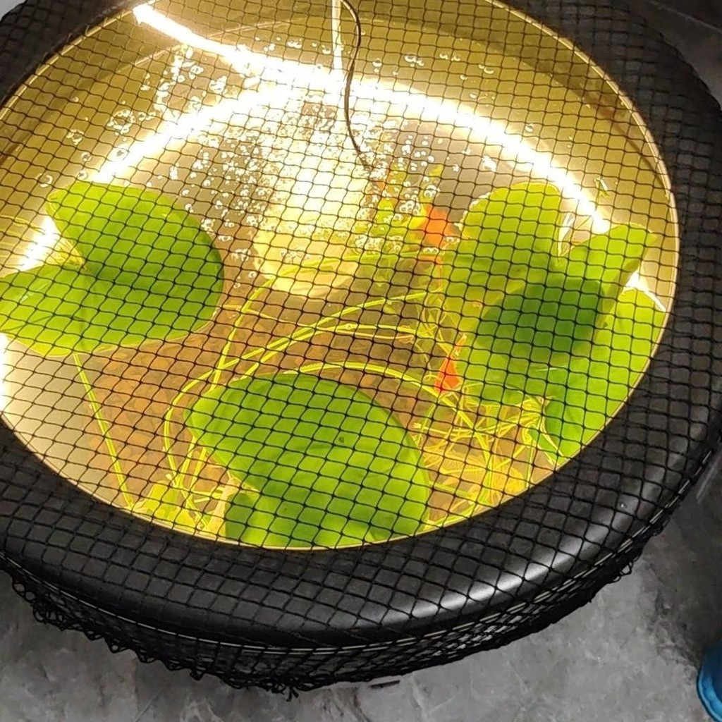 Turtle Box Net Cover Fish Tank Anti-jump Net Turtle Box Anti-Escape Net Fish Tank Anti-fish Jump Net