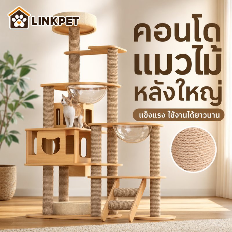 คอนโดแมวไม้ บ้านแมวสูง ที่นอนแมว โดมใส บันไดปีนแมว คอนโดแมวหลายชั้น เฟอร์นิเจอร์แมว มินิมอล