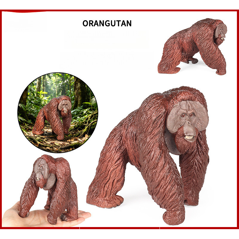 สมจริงผมสีแดงกอริลลา Orangutan สัตว์ของเล่น – ตุ๊กตา PVC แข็งสําหรับเด็ก Education & Collection (11 