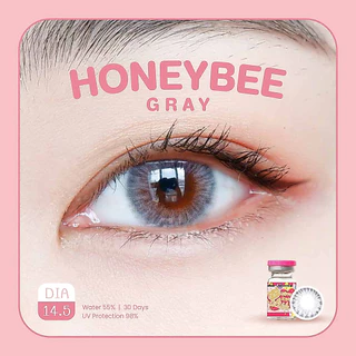 🔥คอนแทคเลนส์ ขนาดมินิ Honey bee Brown/Gray (kittykawaii)