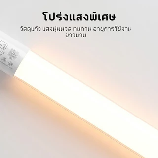 CK-LIGHT หลอดไฟ LED T8 20W 1.2เมตร แสงขาวเดย์ไลท์ 2600LM ประหยัดไฟ 65% ถนอมสายตา ติดตั้งง่าย ใส่แทนท่อเก่าได้เลย