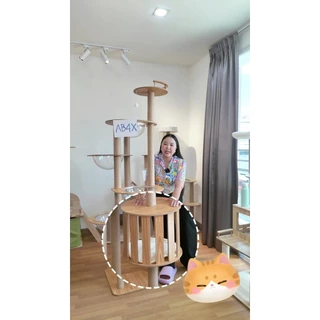 DogLemi】คอนโดแมว สูง185ซม. Cat Condo บ้านแมวไม้พรีเมียม เสาลับเล็บแมว หลุมนอนอะคริลิค 4 จุด คอนโดสัตว์เลี้ยง แมวตัวใหญ่ใ
