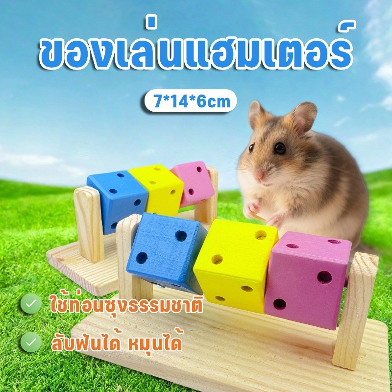 ของเล่นสัตว์เลี้ยง ของเล่นแฮมเตอร์ ลูกเต๋าลับฟัน ของตกแต่งกรง ลูกกลิ้งแฮมเตอร์ ลูกเต๋าลับฟัน