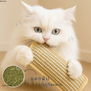 หมอนแมว ของเล่นแมว มีแคทนิปในตัว แข็งแรง ทนต่อการกัด การข่วน ทำจากเชือกป่าน K