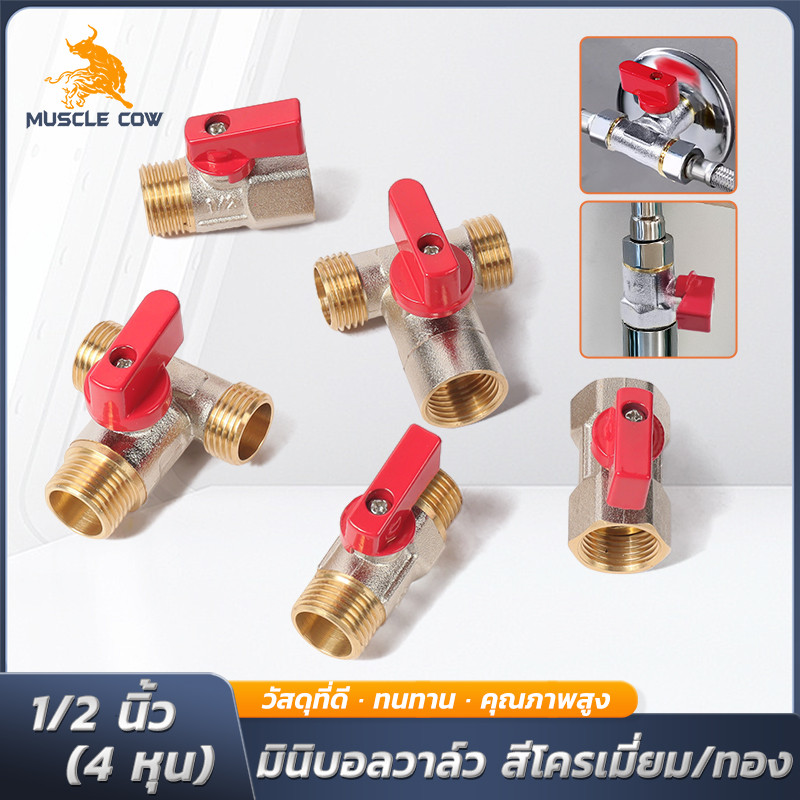 MUSCLE COW วาล์วทองเหลือง 1/2 นิ้ว ตรง/สามทาง เกลียวนอก-ใน/นอก-นอก สีโครเมี่ยม/ทอง แข็งแรง ทนทาน เปิด-ปิดน้ำง่าย