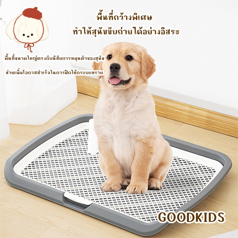 กระบะทรายสุนัขขนาดใหญ่พิเศษ ป้องกันน้ำฉี่กระเด็น พร้อมเสา ตั้งได้ ล้างทำความสะอาดง่าย  ✨