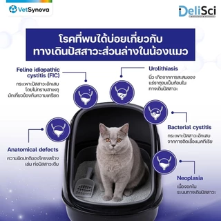 [12 ซอง] DeliSci อาหารเนื้อมูส สำหรับแมว สูตร Complete and Balanced ขนาด 70-80 กรัม และ สูตร Elite 40 กรัม