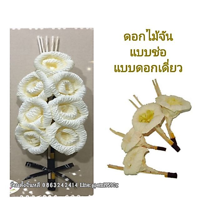 ดอกไม้จัน แบบช่อประธาน / แบบดอกเดี่ยว