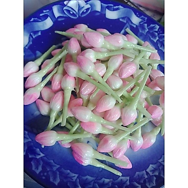 มะลิสีชมพู  มะลิทิชชู่