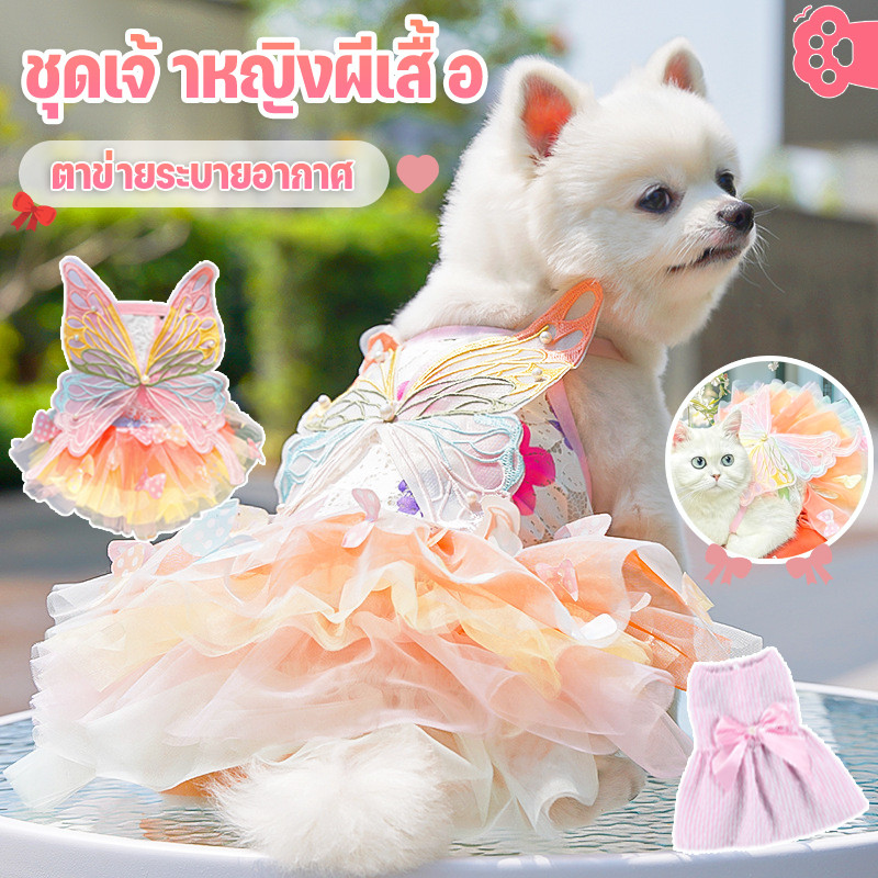พร้อมส่ง เสื้อสัตว์เลี้ยง ชุดแมว ชุดเดรสกระโปรง ชุดเจ้าหญิงแมว ragdoll ใส่สบาย ระบายอากาศดีน่ารัก ไซซ์ S-XXL