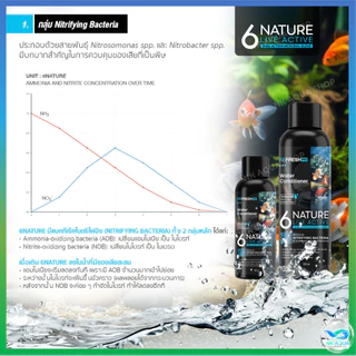 🆕 6NATURE จุลินทรีย์ตู้ปลา Nitrifying + Bacillus รวม 6 สายพันธุ์ น้ำใส ลดกลิ่น ตั้งตู้/บ่อปลา ไม้น้ำ กุ้ง มี 4 ขนาด