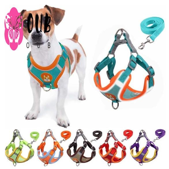 ปลอกคอสุนัข Cat Pectoral - ชุดคู่มือพร้อมเสื้อกั๊กสัตว์เลี้ยงสําหรับสัตว์เลี้ยงขนาดกลางขนาดเล็ก