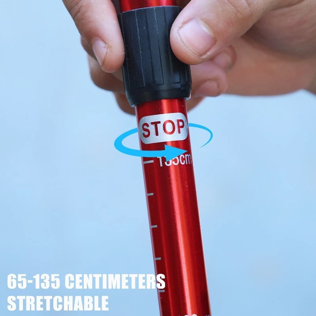 รูปภาพ 7