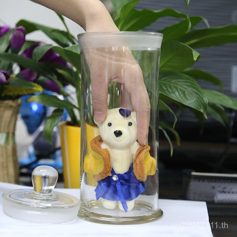 ขวดแสดง * สินค้าแห้งแก้วใส5zwตัวอย่าง240มมหนา มีน้ําค้างแข็ง ตัวอย่างขวด180แก้วปิดผนึกขวด