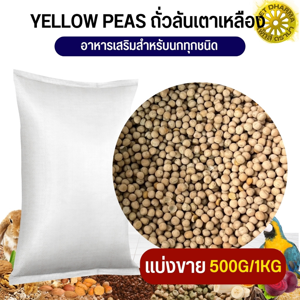 Yellow Peas ถั่วลันเตาเหลือง เหมาะสำหรับนกขนาดกลาง-ใหญ่ (แบ่งขาย 250g/500g/1kg)
