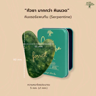 💟ของแท้ | ส่งเร็ว💟 Forestal ฟอร์เรสท์ กัวซา Jade Gua Sha