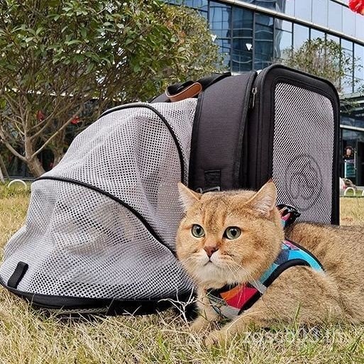 ของใช้แนะนํา ⭐ EVERKING กระเป๋าแมวชั้นหนึ่งสบายกระเป๋าเป้สะพายหลังมัลติฟังก์ชั่แบบพกพาเดินทางความจุข
