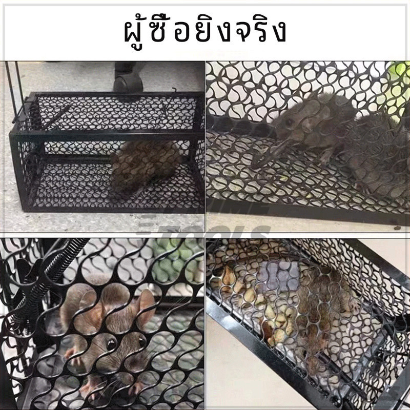 กรงดักหนูสปริงคู่ กรงดักหนูสปริง กรงดักหนูพร้อมกรอบ 1ชิ้น แข็งแรง ไม่เปลืองพื้นที่ ใช้งานได้หลากหลาย ราคา ถูกที่สุด ดีลบีเคเค แกลเลอรีภาพที่ 6