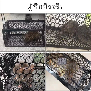กรงดักหนูสปริงคู่ กรงดักหนูสปริง กรงดักหนูพร้อมกรอบ 1ชิ้น แข็งแรง ไม่เปลืองพื้นที่ ใช้งานได้หลากหลาย