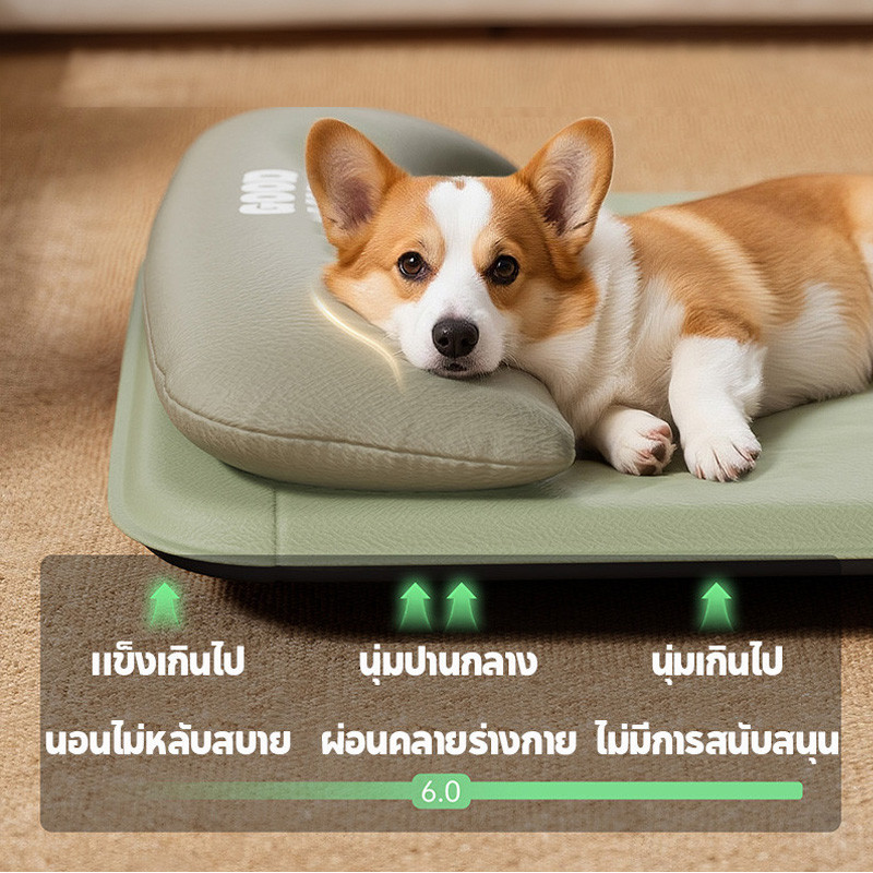 ที่นอนหมาขกันน้ำ ที่นอนสุนัข เบาะนอนแมว พร้อมหมอน ทำจากเมมโมรี่โฟม ระบายอากาศได้ ความชื้นหลักฐาน - รูปที่ 3