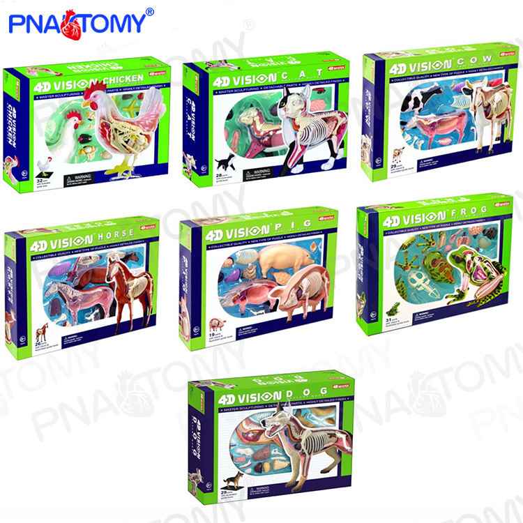 Spot Goods#4D MASTER Animal Anatomy Assembly Model DIY Cat and Dog Teaching Display Props Pig Horse 