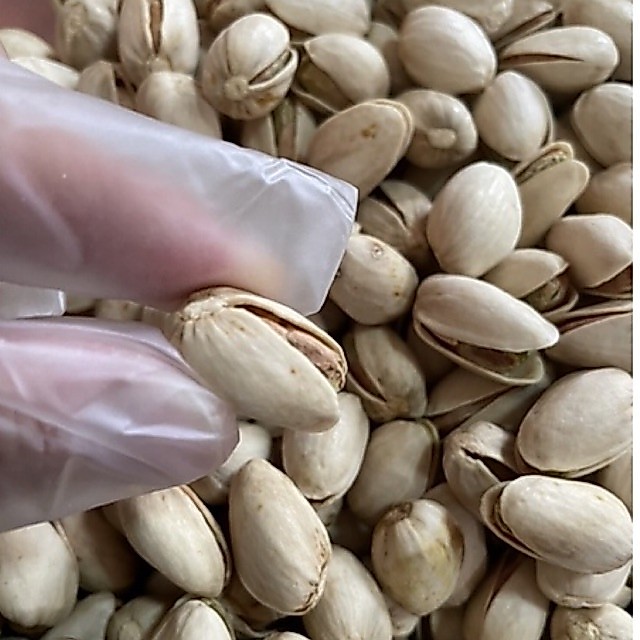 พิสตาชิโอ้ จัมโบ้ Pistachio Organic Jumbo ไม่ฟอกสี 500 กรัม