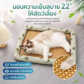 【Pet Zap】พร้อมส่ง ส่งไว แผ่นเจลเย็นสัตว์เลี้ยง ที่นอนเย็นแมว เสื่อระบายความร้อนสุนัข ที่นอนเสื่อหวายหมา CW-091