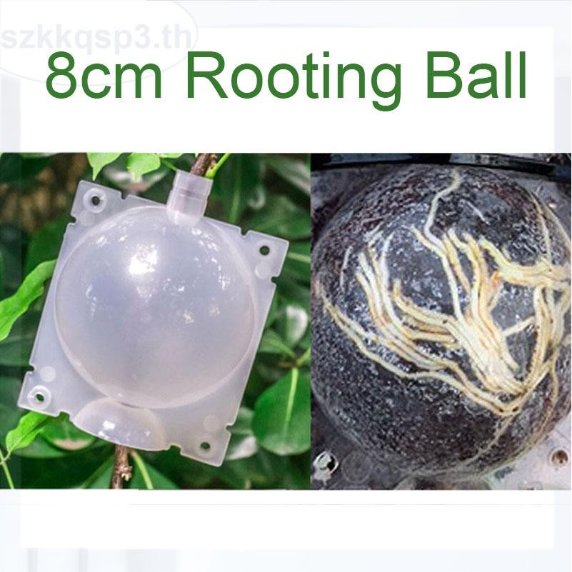 8 ซม. Rooter Grow กล่องผลไม้ต้นไม้ Plant Rooting Ball Root Growing กรณี Grafting Breeding Garden เคร