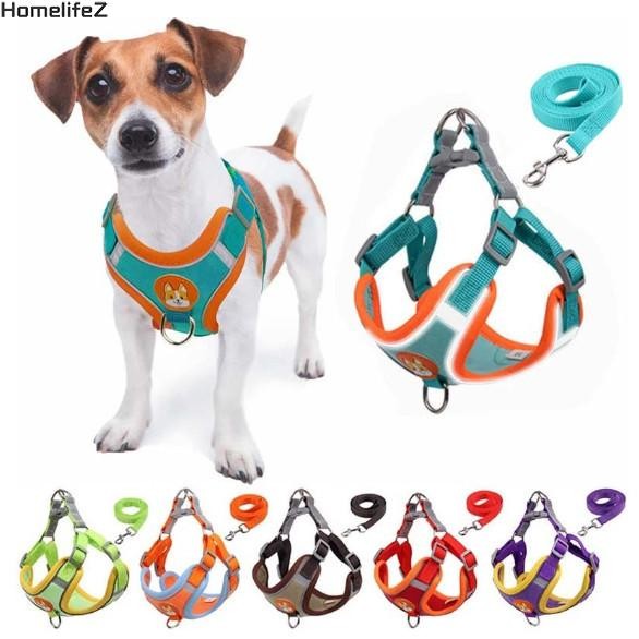 ปลอกคอสุนัข Cat Pectoral - ชุดคู่มือพร้อมเสื้อกั๊กสัตว์เลี้ยงสําหรับสัตว์เลี้ยงขนาดกลางขนาดเล็ก