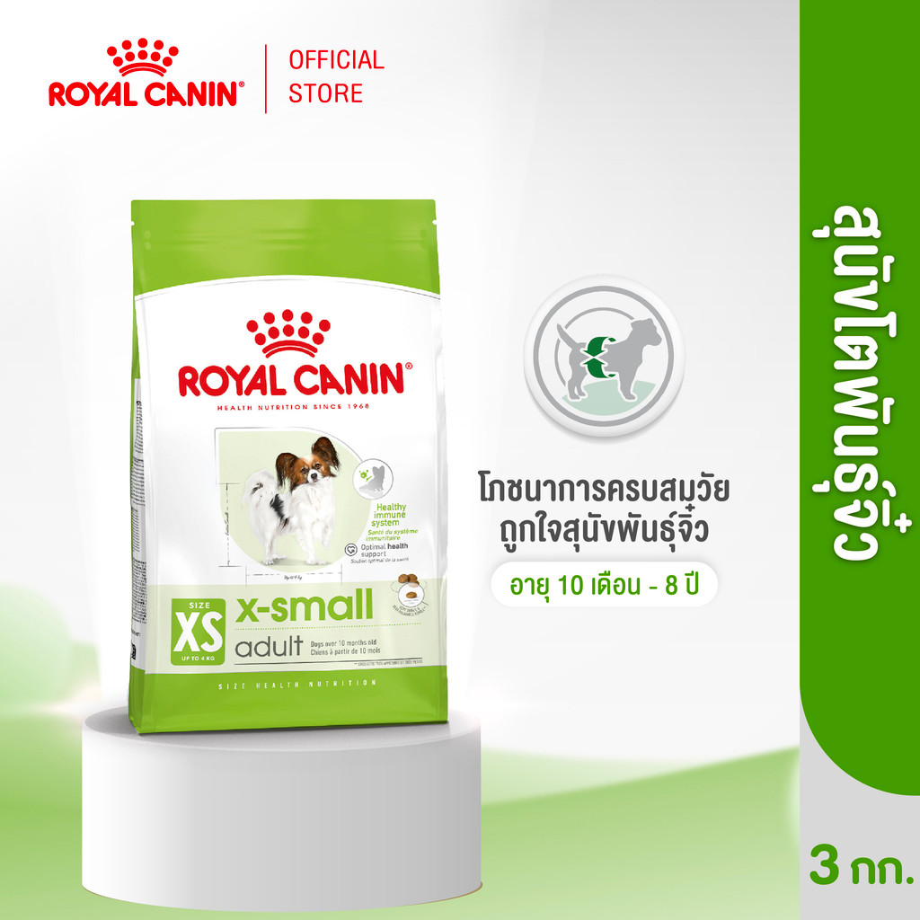 Royal Canin X-Small Adult 3kg อาหารเม็ดสุนัขโต พันธุ์จิ๋ว อายุ 10 เดือน–8 ปี (Dry Dog Food, โรยัล คานิน)