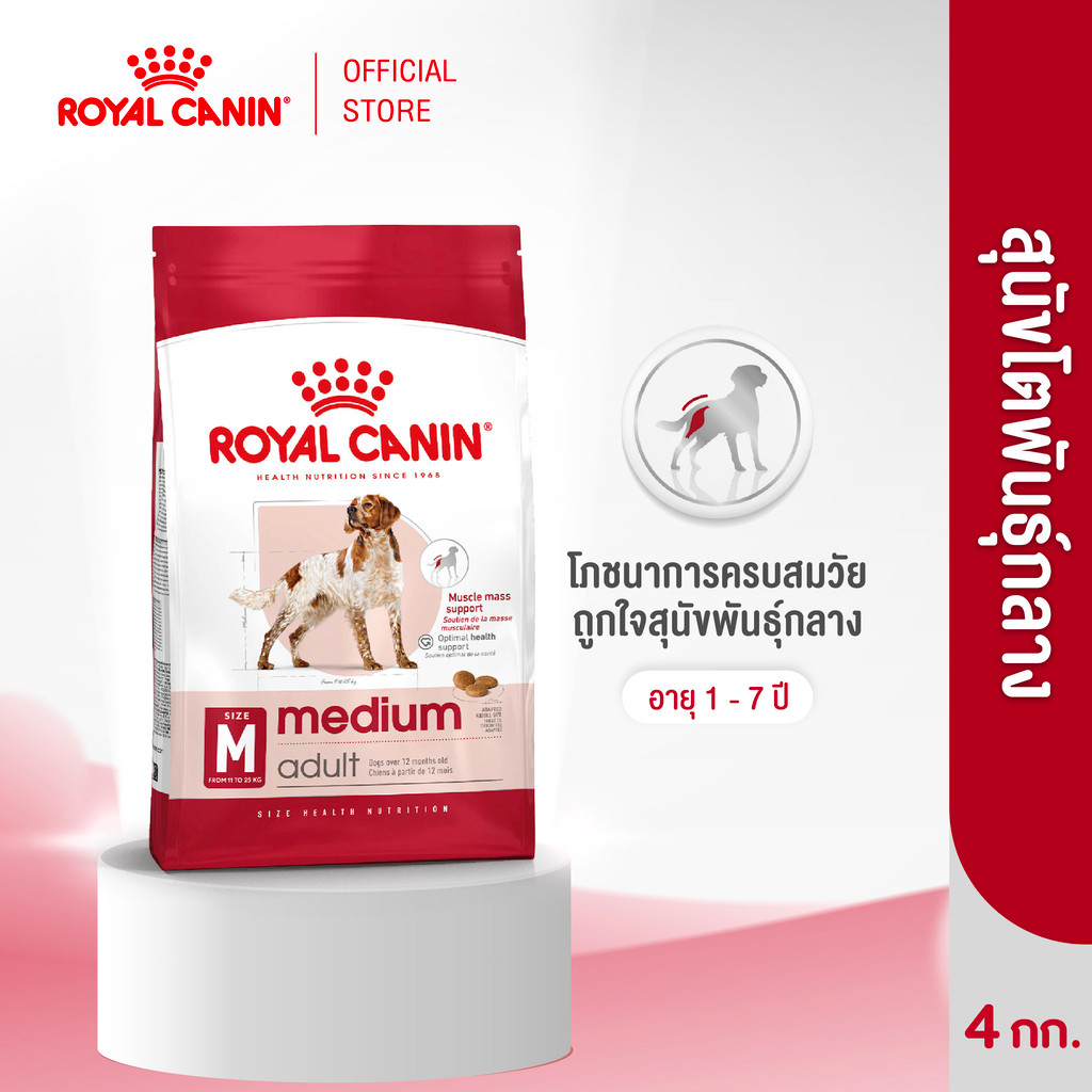 Royal Canin Medium Adult 4kg อาหารเม็ดสุนัขโต พันธุ์กลาง อายุ 12 เดือน–7 ปี (Dry Dog Food, โรยัล คานิน)
