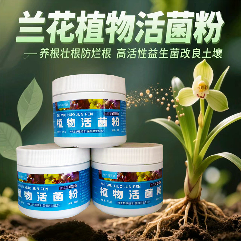 ขายส่ง Orchid Live Bacteria Powder Plant Probiotics Orchid Plant Dedicated Microbiotic Agent Phalaen
