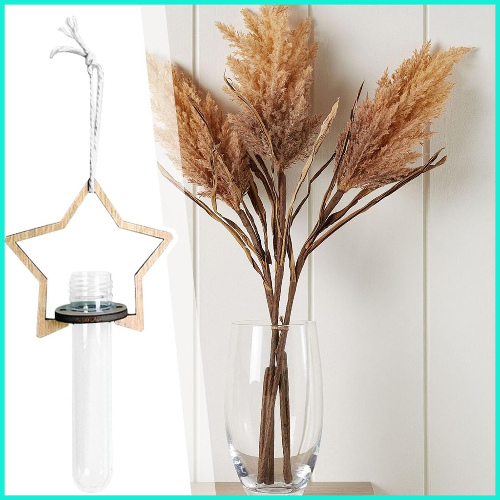 ผู้ถือพืชโฆษณา Wall Planter Propagation Test Tube แจกัน Tillandsia Pothos Hydroponic Test Tube tongt