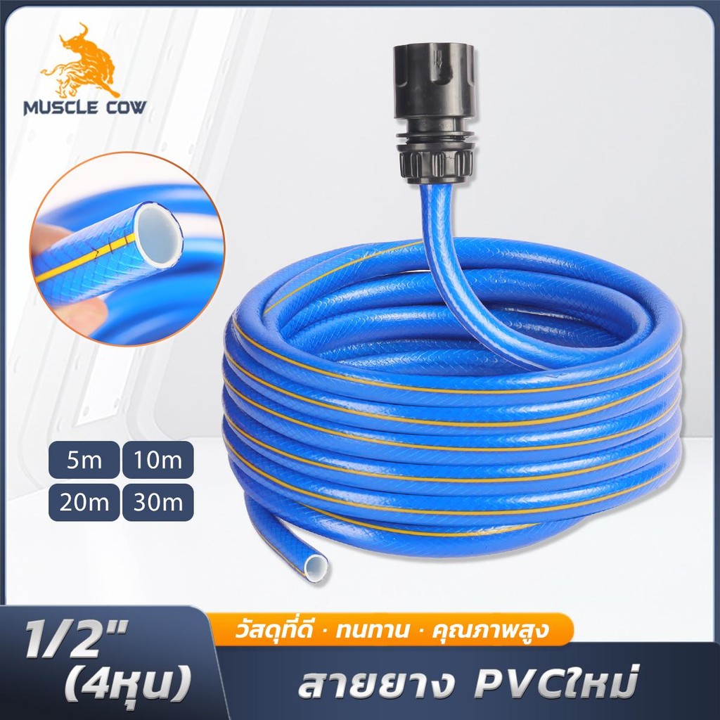 MUSCLE COW สายยาง PVC สีฟ้า 1/2 นิ้ว แข็งแรง ทนทาน มีให้เลือก 5m/10m/20m/30m เหมาะสำหรับสวนและงานบ้าน