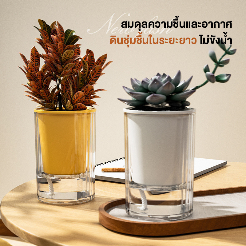 กระถางดอกไม้ใส กระถางดอกไม้ขี้เกียจ คุณภาพสูง กลม 2 ชั้น กระถางดอกไม้ตั้งโต๊ะ สามารถวางไว้ในสำนักงานได้