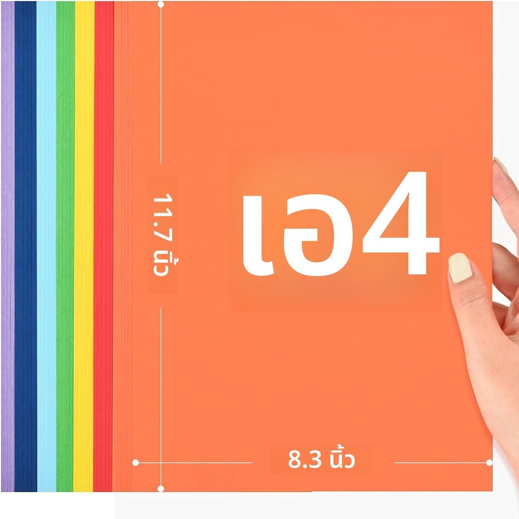 รูปภาพ 3