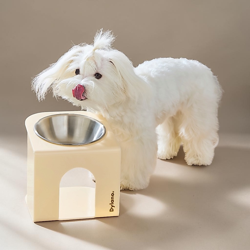 Dylano's S/M Stand with Bowl | ชามอาหารยกสูงปรับองศา ไซส์ S/M