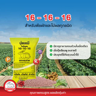 ปุ๋ยตรากระต่าย 25-7-7,15-15-15,13-13-24,46-0-0,16-16-16,9-25-25,21-0-0 ปุ๋ยเร่งราก ต้น ใบ ดอก ปุ๋ยเม็ดหว่าน แบ่งขาย 1 Kg