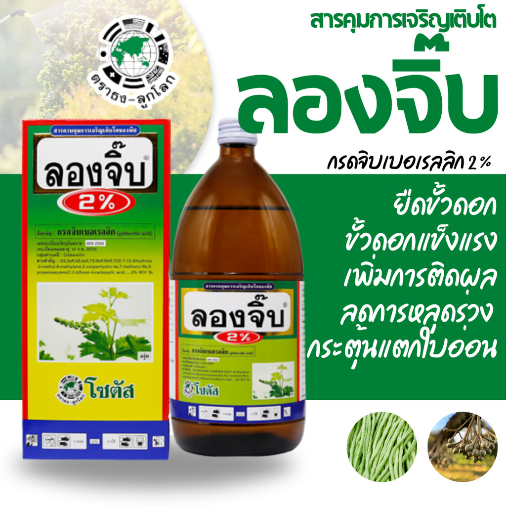 [500cc] ลองจิ๊บ 2% 500 มิลลิลิตร ยืดขั้วดอก ขั้วดอกแข็งแรง