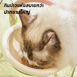 PawPals ชามสัตว์เลี้ยงรุ่นใหม่ ชามอาหารแมว ชามคู่กันลื่นสัตว์เลี้ยงชามเท้าสูง ชามข้าวสุนัข สามารถปรับความสูงได้