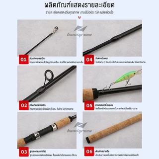 Hamigreen คันหน้าดิน 6-10 ฟุต คันอาชิโน่โลคอล คันเบ็ดตกปลา 2 ท่อน คันไฟเบอร์ผสมกราไฟต์ สปิน